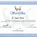 Resmi büyüt: certificate 40