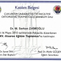 Resmi büyüt: certificate 50