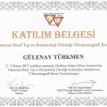Resmi büyüt: certificate 2