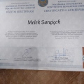 Resmi büyüt: certificate 30