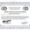 Resmi büyüt: certificate 30