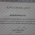Resmi büyüt: certificate 1
