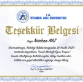 Resmi büyüt: certificate 11