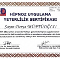 Resmi büyüt: certificate 12