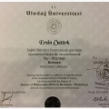 Resmi büyüt: certificate 5