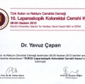 Resmi büyüt: certificate 25