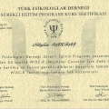 Resmi büyüt: certificate 8