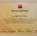 Resmi büyüt: certificate 16