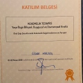 Resmi büyüt: certificate 11