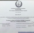 Resmi büyüt: certificate 8