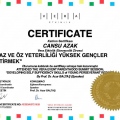 Resmi büyüt: certificate 4