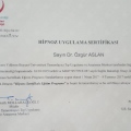 Resmi büyüt: certificate 9