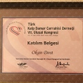 Resmi büyüt: certificate 1