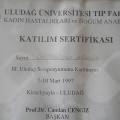 Resmi büyüt: certificate 3