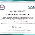 Resmi büyüt: certificate 11