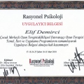 Resmi büyüt: certificate 9