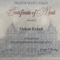Resmi büyüt: certificate 4