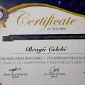 Resmi büyüt: certificate 4