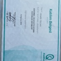 Resmi büyüt: certificate 1