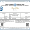 Resmi büyüt: certificate 16