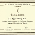 Resmi büyüt: certificate 8