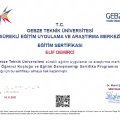 Resmi büyüt: certificate 37