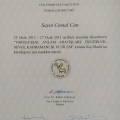 Resmi büyüt: certificate 11