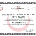Resmi büyüt: certificate 1