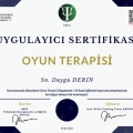 Resmi büyüt: certificate 31