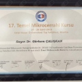 Resmi büyüt: certificate 1