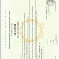Resmi büyüt: certificate 3