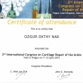 Resmi büyüt: certificate 10