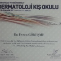 Resmi büyüt: certificate 2