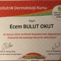 Resmi büyüt: certificate 2