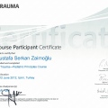 Resmi büyüt: certificate 41