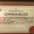 Resmi büyüt: certificate 10