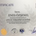 Resmi büyüt: certificate 2