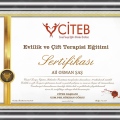 Resmi büyüt: certificate 4