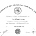 Resmi büyüt: certificate 5