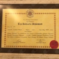 Resmi büyüt: certificate 1