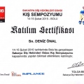Resmi büyüt: certificate 3