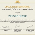 Resmi büyüt: certificate 3