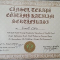 Resmi büyüt: certificate 6