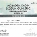Resmi büyüt: certificate 33