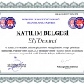 Resmi büyüt: certificate 19