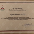Resmi büyüt: certificate 2