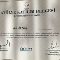 Resmi büyüt: certificate 14