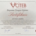 Resmi büyüt: certificate 8