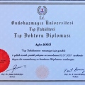 Resmi büyüt: certificate 2