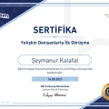 Resmi büyüt: certificate 28
